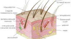 Zašto ne može mačka željezo protiv vune